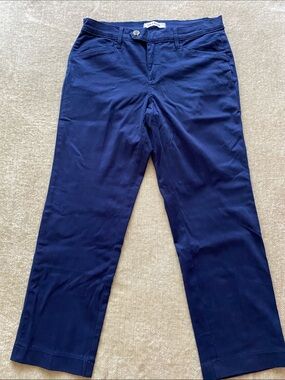 Lila Ryan Straight Leg Blue Ankle pants Size Small